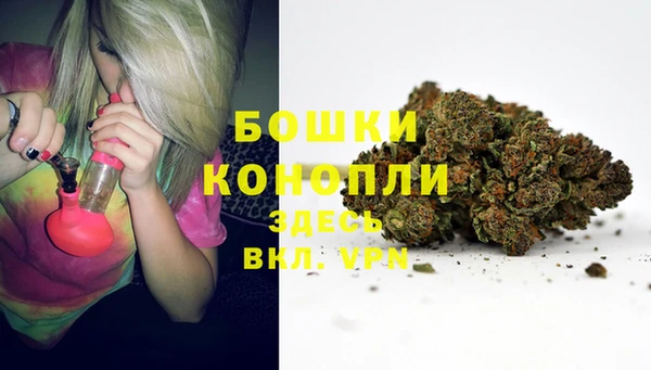 дживик Нея