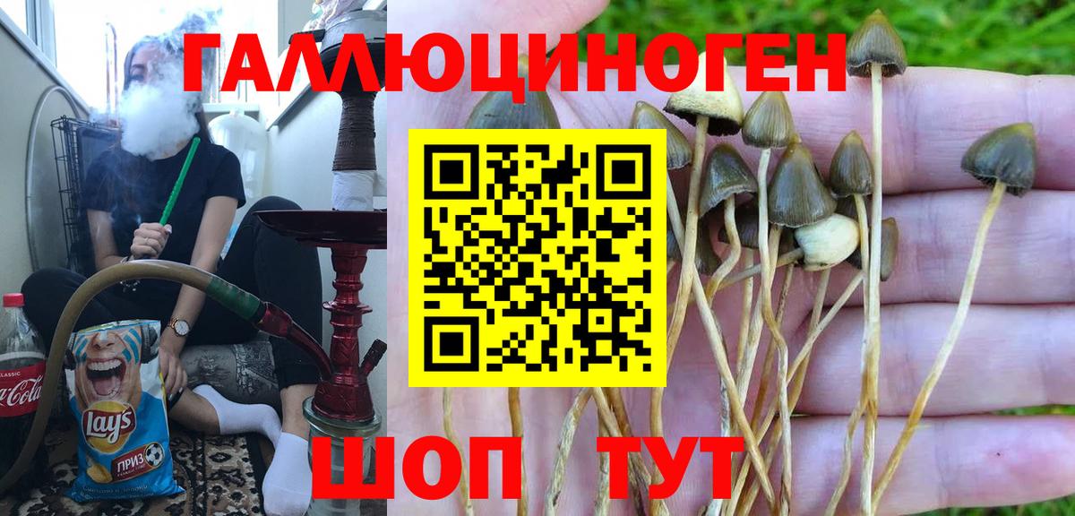 Купить закладку  Мефедрон   APVP СОЛЬ кристаллы  НБОМе  Вход с VPN  ГАШИШ  Канабис  Благовещенск  MDMA 