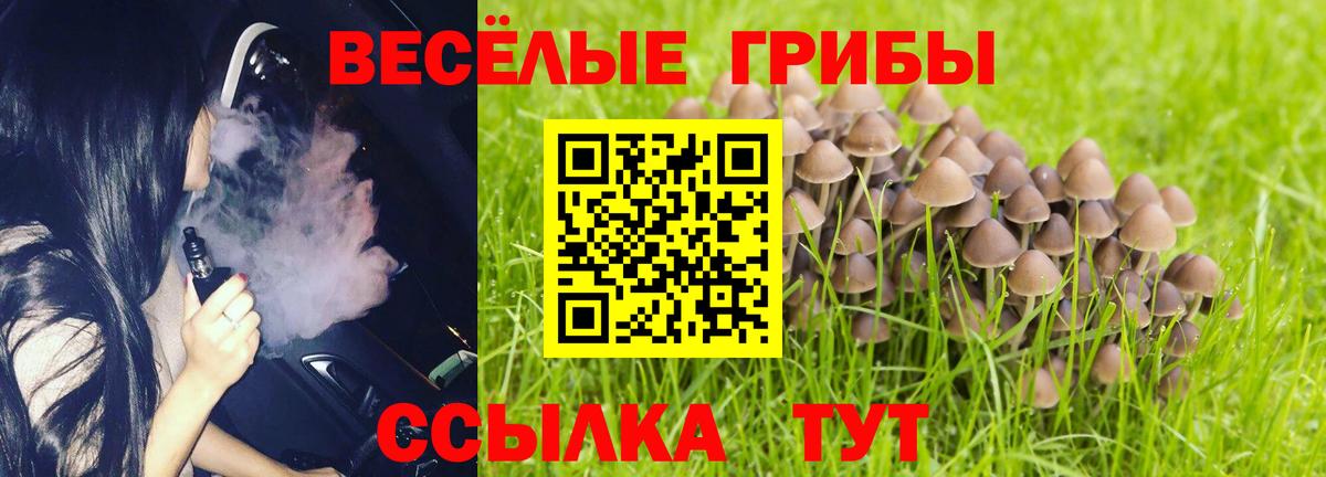 Псилоцибиновые грибы GOLDEN TEACHER Благовещенск